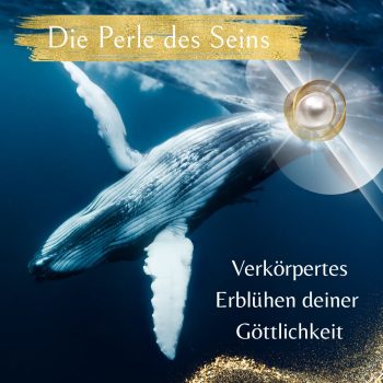 Die Perle des Seins (3)