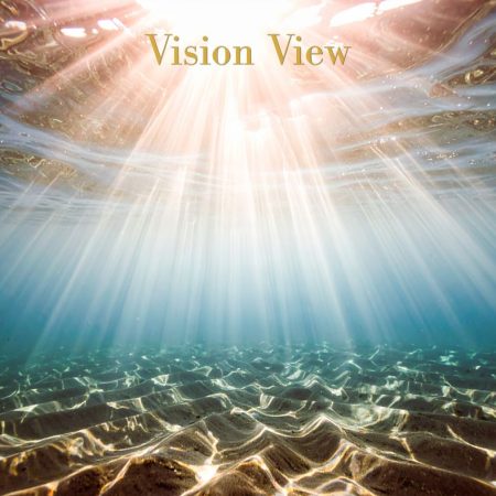 Vision View